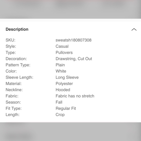 NWT Fishnet Cropped Hoodie - Picture 6 of 6